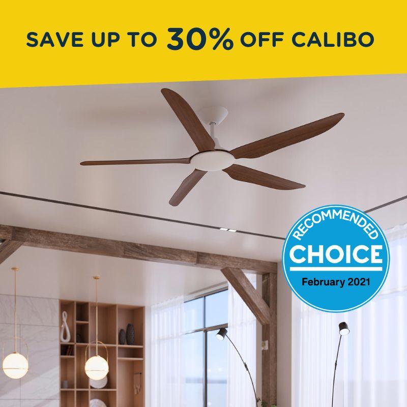 Save on the Storm Ceiling Fan